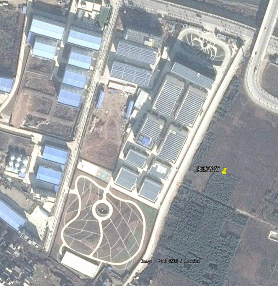 香菊藥業竣工-衛星圖.jpg